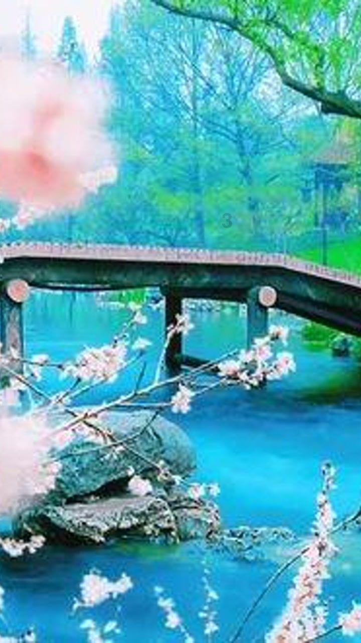 翻转吧，苹果虫
